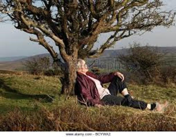 Felix wird schlafend am Baum von der Polizei gefunden.