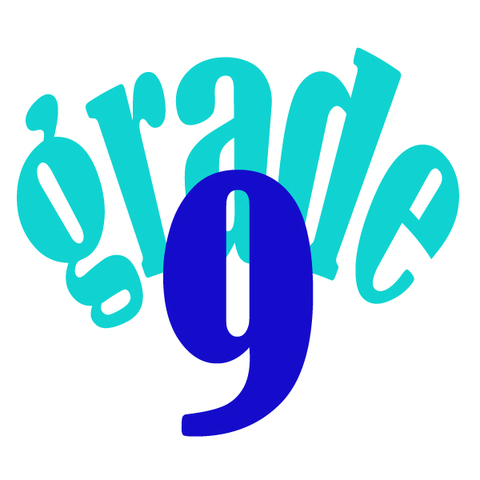 Went to High School (started grade 9)