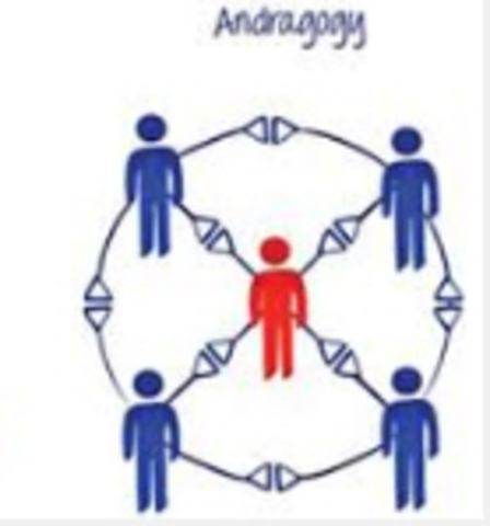 Adult Learning Theory