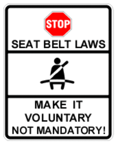 Seat belts become a law