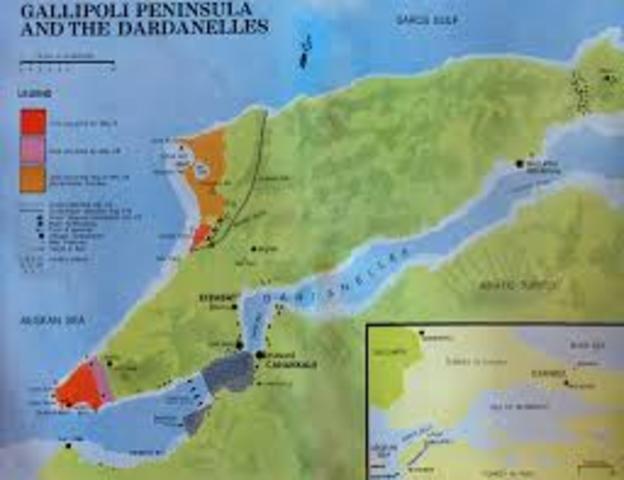 Allied troops landed in Gallipoli
