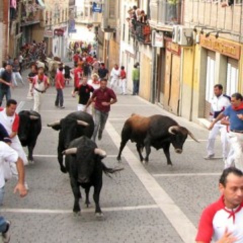La corrida más antiguo de los Bulls