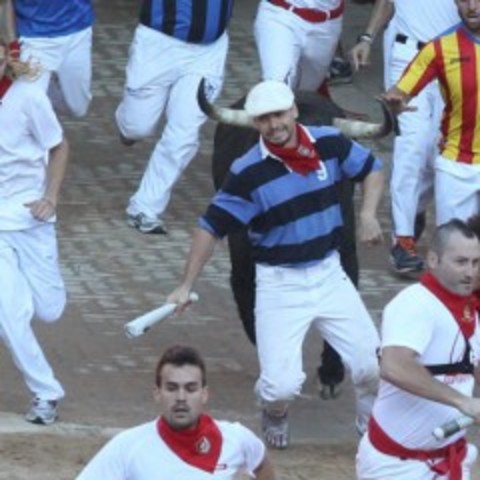 El funcionamiento de los toros, Día 8