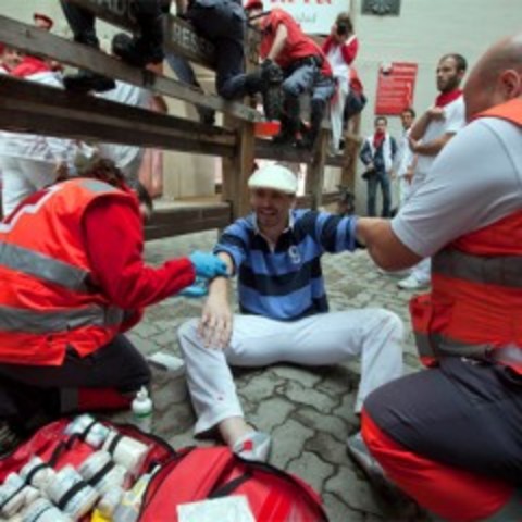 El funcionamiento de los toros, Día 6