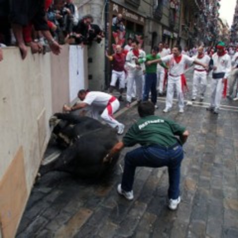 Cómo correr con los toros: Pastores