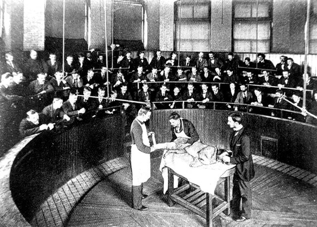 First Painless Surgery