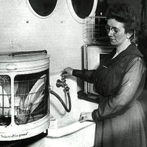 The original dishwasher