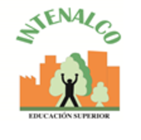 Técnico Profesional en sistemas