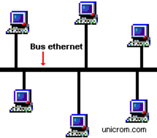 Se crean redes LAN Ethernet