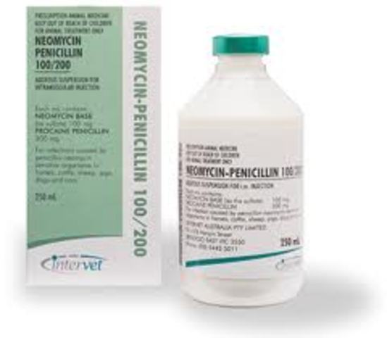 Official recording of the Discovery of Penicillin