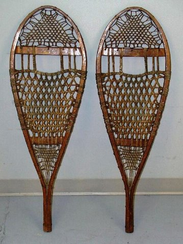 Organization and Occupation of the Territory