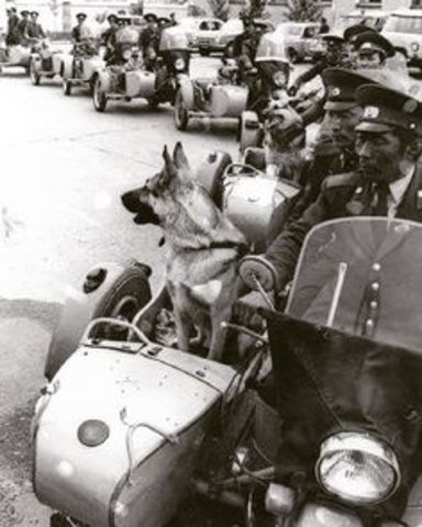 REGLAMENTO DE LA ESCUELA DE LA POLICÍA FEDERAL