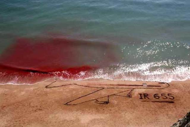 Persian Gulf - Flight 655