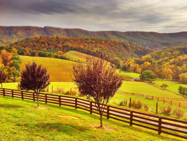 Opening of Regions for Colonization