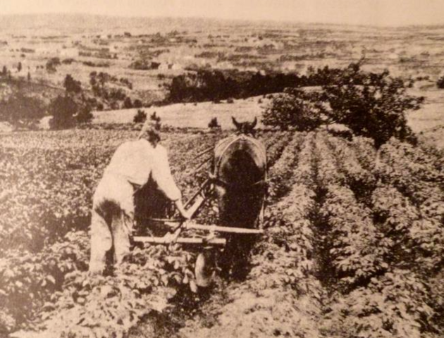 Exploitation of Resources (Primary Sector)