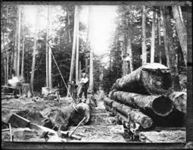 Urban Expansion and Opening of New Regions