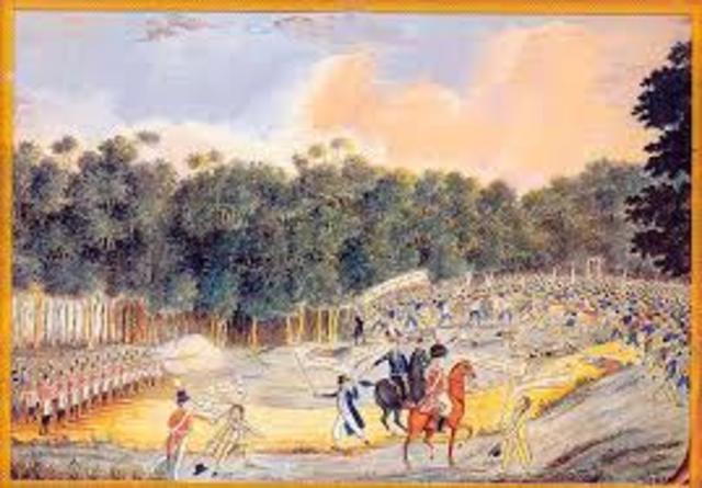 Castle Hill Rebellion