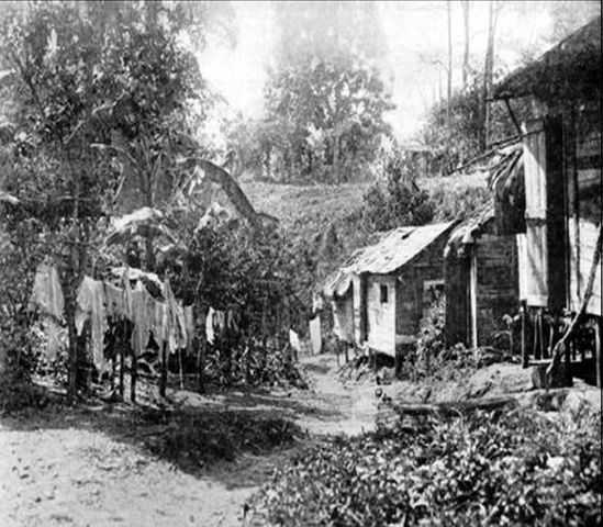 Se detienen los conflictos en Aibonito, Utuado y Las Marias.