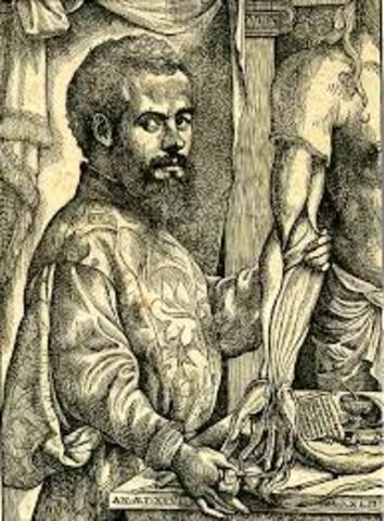 Andreas Vesalius studies the human body