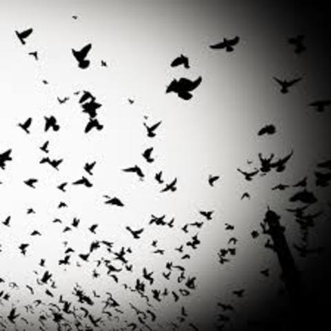 fiesta de 15 años de montse