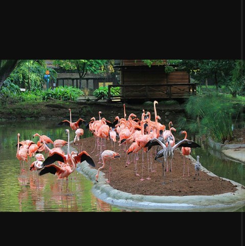 My first visit to the zoo