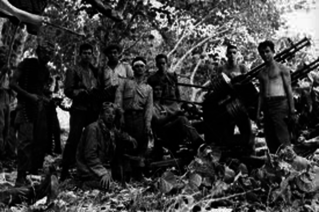 Bay of pigs invasion