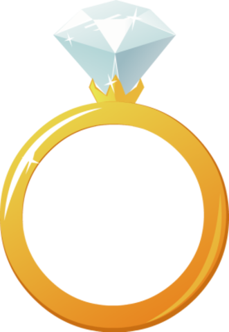 Prohibition of Mixed Marriages Act No 55