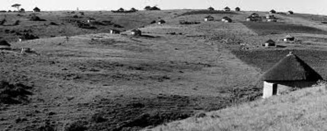 Transkei Constitution Act No 48