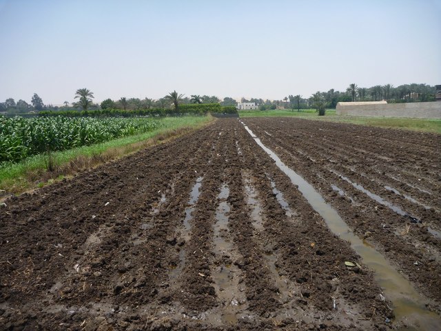 Development Trust and Land Act No 18