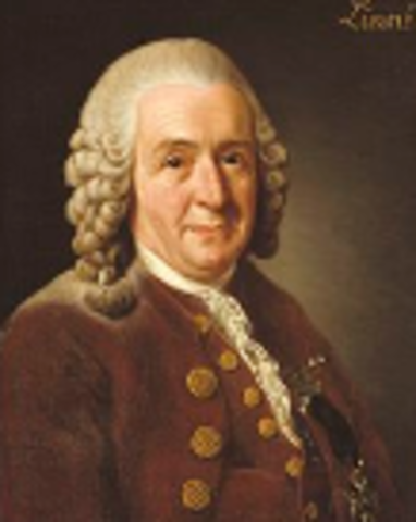 Carlos de Linneo