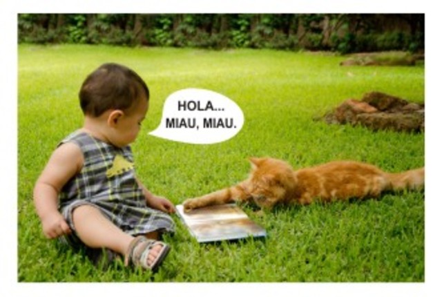 Exploración del entorno