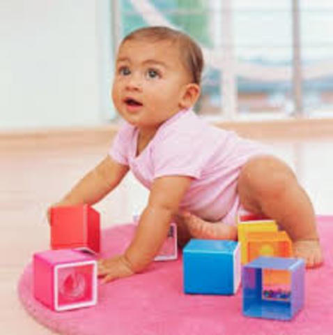 Desarrollo Cognitivo- Lingüístico