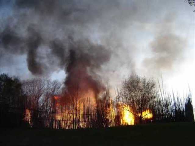 The economy of fur (part 2)