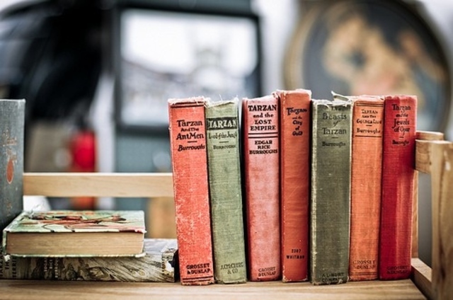 BRECHA EPIDEMIOLOGÍA- EPIDEMIOLOGÍA SOCIAL