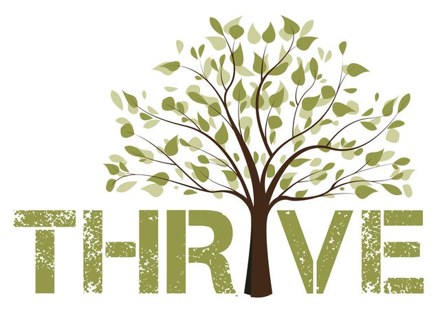 The importance of school in my life