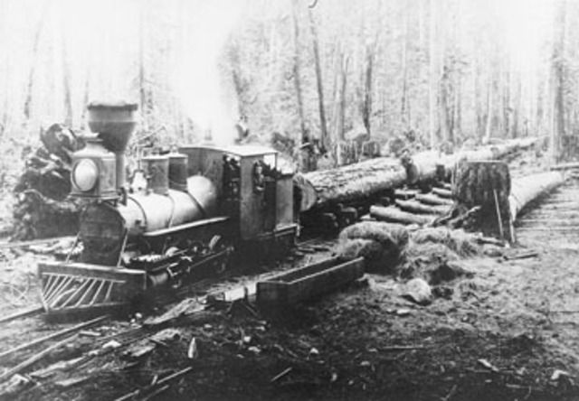 The British Economy based on Timber