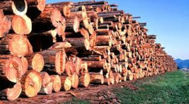 Expansion of the timber economy (part 1)