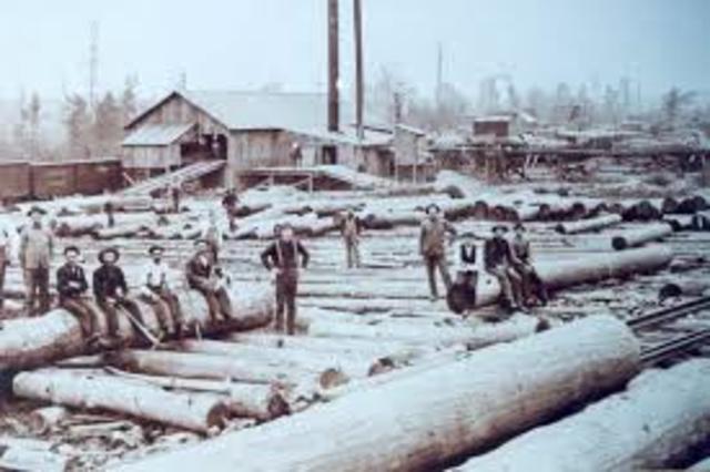 expansion of the timber industry (part 2)
