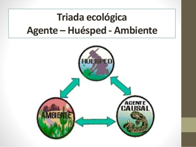Modelo “agente-huésped-ambiente”