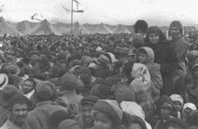 UN established Resolution 194