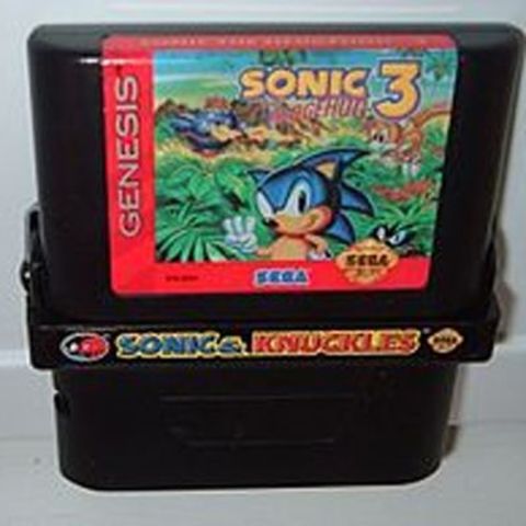1989 - Sonic the Hedgehog is here
