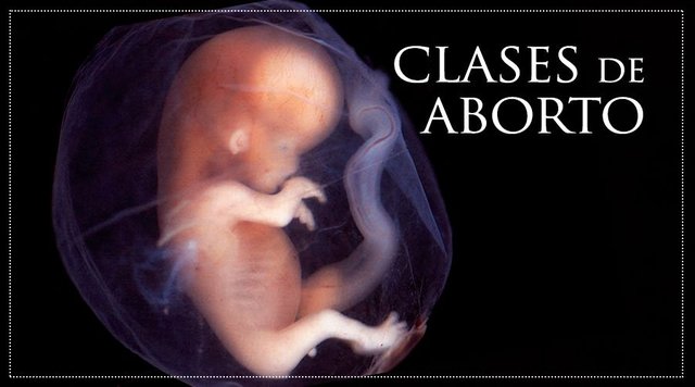 Clases de Aborto