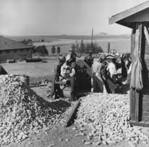 Black Labor Regulation Act