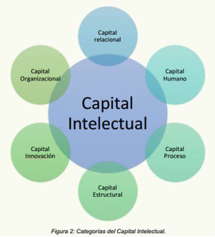 Capital Estructural