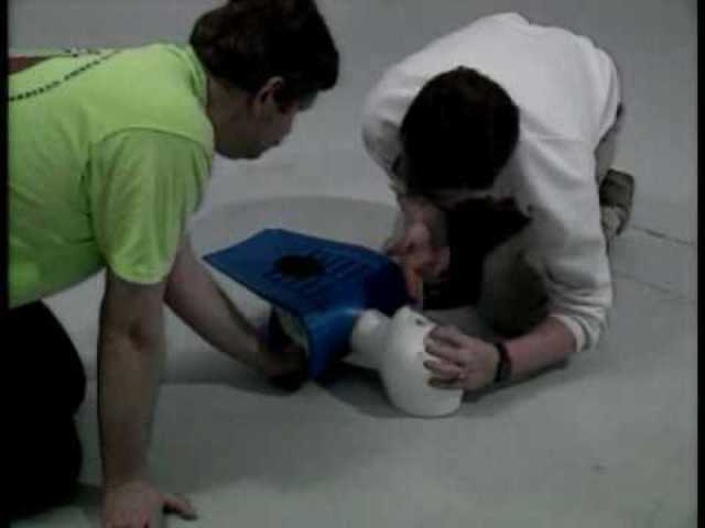 Dianne Croteau (1984-1993)