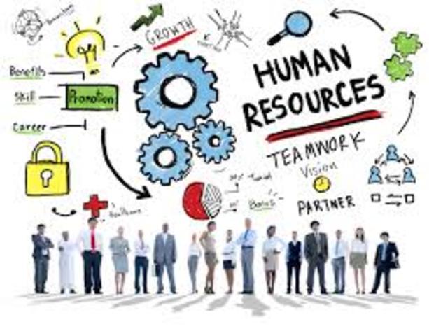 Cultura Organizacional