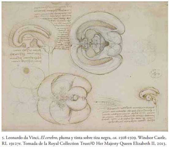 Leonardo Da Vinci (1452-1519)