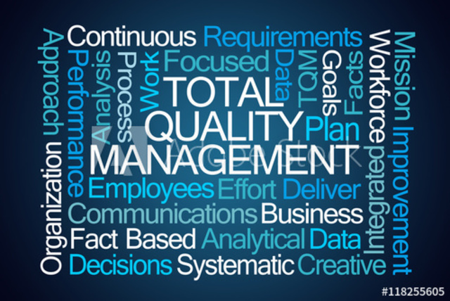 Proceso de calidad total