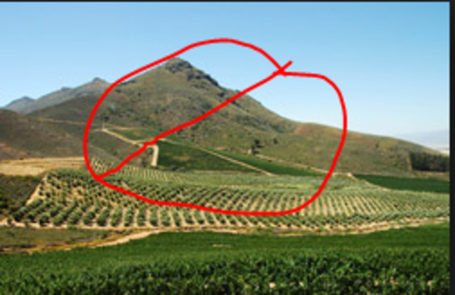 Black (Native) Laws Amendment Act No 46