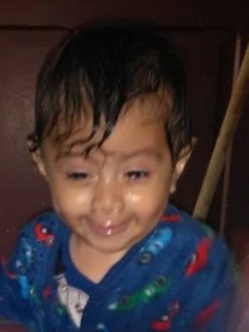 Desde el año hasta la actualidad